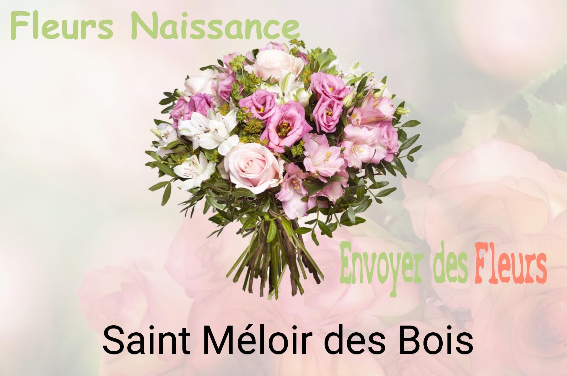 Bouquet de fleurs de naissance livré à Saint-Méloir-des-Bois
