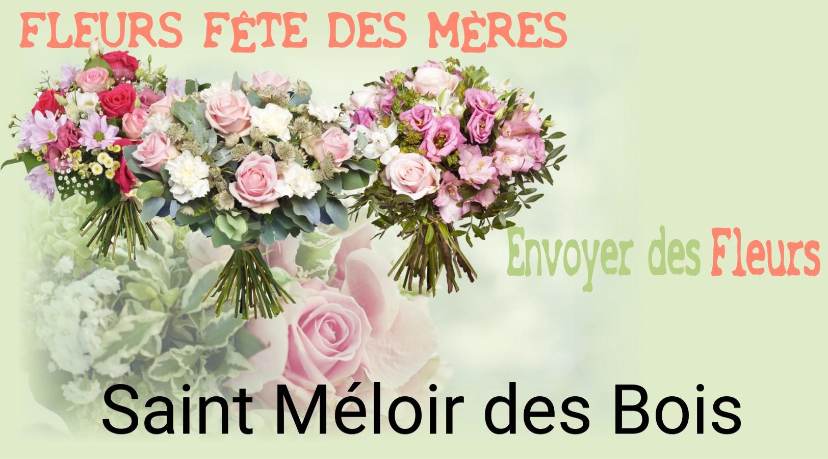 Bouquet de Fête des Mères livré à Saint-Méloir-des-Bois